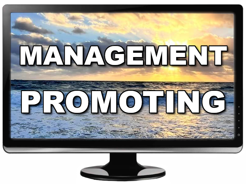 Website Management Promoting